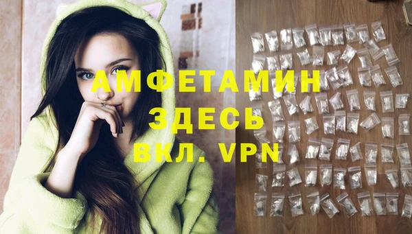 гидра Армянск