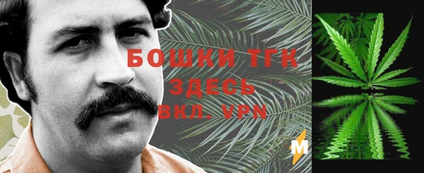 дурь Аркадак