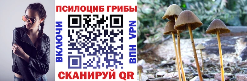 Псилоцибиновые грибы мухоморы где продают Зима